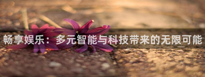 红足1世1站：畅享娱乐：多元智能与科技带来的无限可能