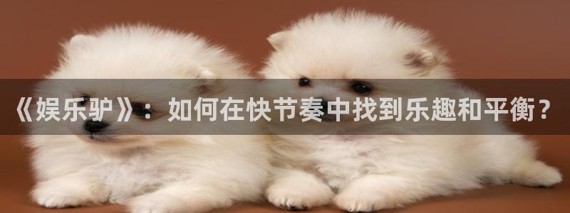 红足1世44814：《娱乐驴》：如何在快节奏中找到乐趣和平衡？