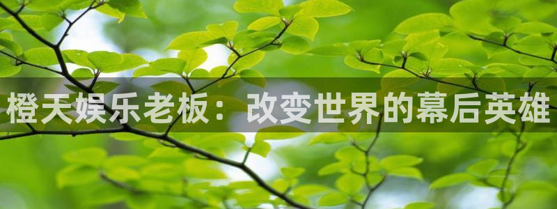 红足1世新：橙天娱乐老板：改变世界的幕后英雄