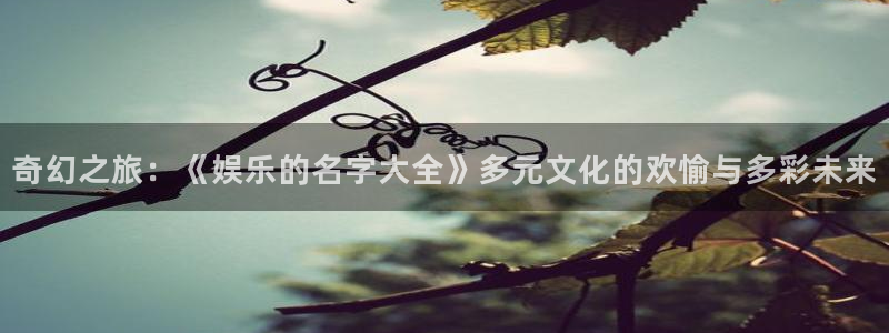 红足1世11814：奇幻之旅：《娱乐的名字大全》多元文化的欢愉与多彩未来