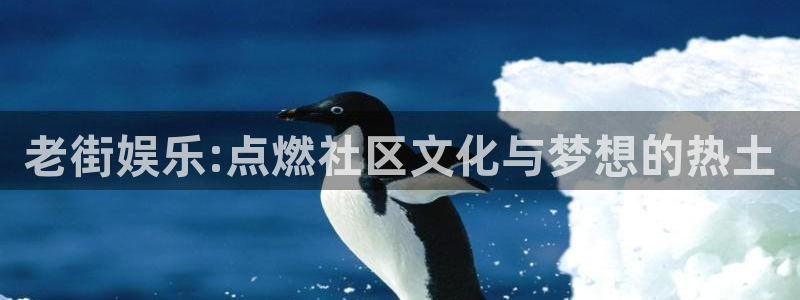 红足1世：老街娱乐:点燃社区文化与梦想的热土